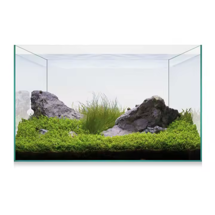Ica Kit AQUASCAPE BASIC 20 - Acuario Plantado - Filtro de Cascada - Guía Práctica - Equipos CO2 - 1