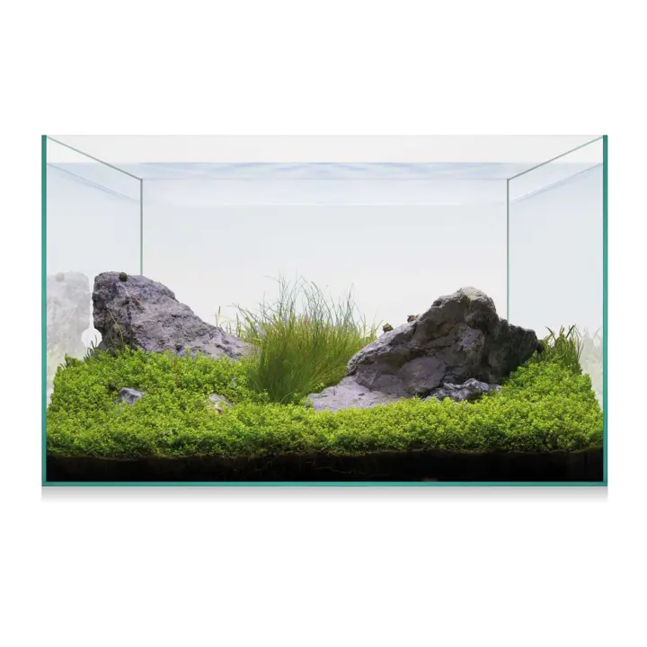 Ica Kit AQUASCAPE BASIC 20 - Acuario Plantado - Filtro de Cascada - Guía Práctica - Equipos CO2 - 1