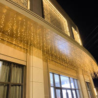 Luces De Navidad LED De Garland 4M AC 220V Cadena De Icicles Para Exterior Decoración De Jardín Y Calle Luz De Fiesta Caliente Blanca - details 9
