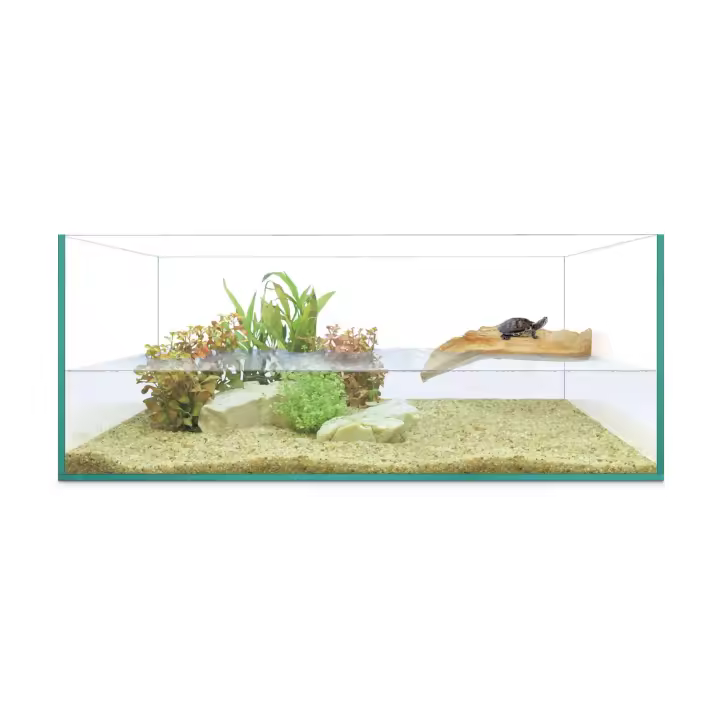 Tortuguera ISLA de REPTI SELVA 50 - 60 - 80 -  terrario transparente para Reptiles - 1