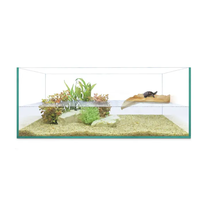 Tortuguera ISLA de REPTI SELVA 50 - 60 - 80 -  terrario transparente para Reptiles - 1
