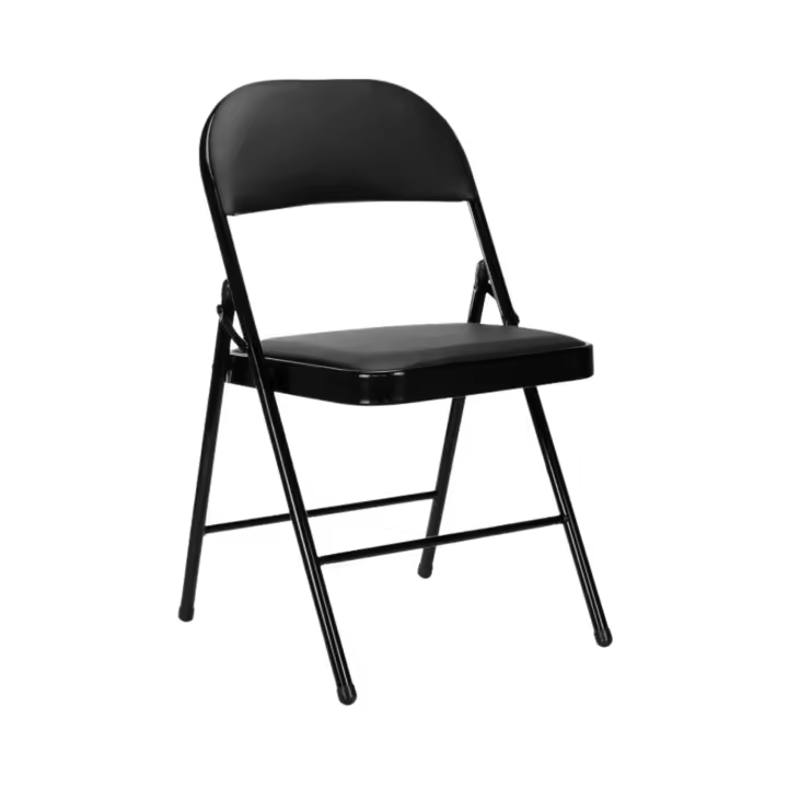 Silla Plegable Acolchada Thinia Home - 1