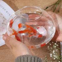 Pequeño Acuario De Vidrio Transparente Para Pequeños Peces Y Reptiles Tanque De Peces Con Buena Visibilidad Estilo De Cuenco - details 4