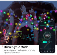 Luces De Navidad Faeirys LED Cadena Bluetooth WS2812B RGBIC Direccional Música Garlanda Decoración De Fiesta Boda USB DC5V Control Remoto Y APP - details 6