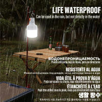 Bombilla LED Recargable USB Para Exteriores Luz De Emergencia De Alta Brillo Con Gancho Para Camping Y Pesca Linterna Portátil Luz Nocturna - details 1