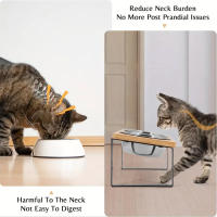 Tazas Para Gatos Elevadas Con Base De Madera 15° Tilted Anti Vómitos Doble Acero Inoxidable Alimentación Para Gatos Y Perros - details 2