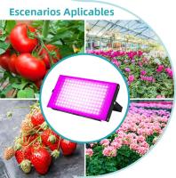 Lámpara De Crecimiento LED De Espectro Completo Para Plantas 5V Luz Verde Para Suculentas Cultivo De Interior Frutas Y Hidroponia - details 11