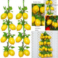 2pcs Decoración De Pared De Jardín Artificial Naranja 52CM Frutas Artificiales Para El Hogar Y Fotografía Propiedades De Interiores Y Exteriores - details 4