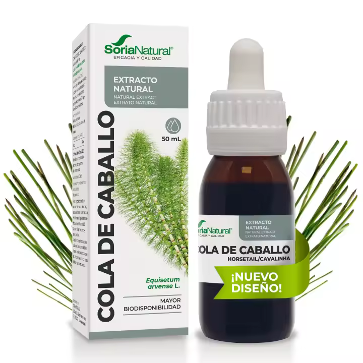 Cola de Caballo Extracto Soria Natural  - Potente Diurético Natural - Nutre tu Cabello y Uñas - Botella con 50ml - 1