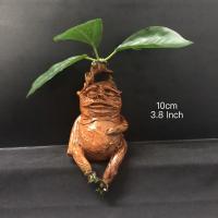 Estatua De Resina Para Jardín Mandrágora Mágica Decoración Exterior Regalo Para Fiestas Y Vacaciones - details 3