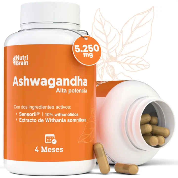Ashwagandha Alta Potencia: Adaptógeno y Nootrópico con Sensoril® (10% Withanolidos) | Sueño Profundo, Bienestar General, Energía, Concentración | 4 Meses | 2x Más Concentrado que el KSM-66 |  NUTRIBRAIN - 1