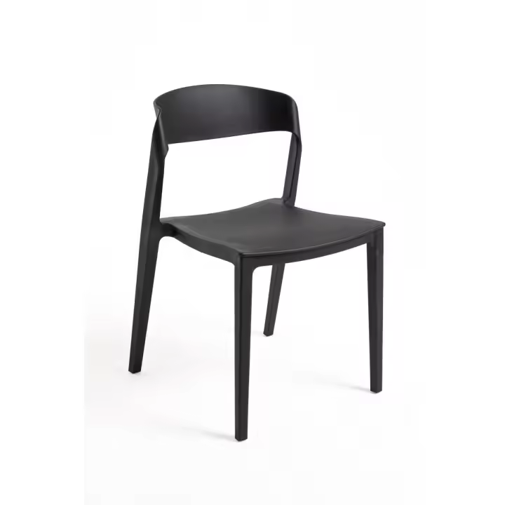 Silla Shine - Negro - 1