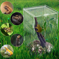 Caja De Alimentación Para Mascotas Arborescentes Acranged Transparente De Plástico Terrario De Enclosure Para Reptiles Y Invertebrados De Cría - details 5