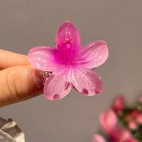 Pinza Para El Cabello De Tamaño Pequeño Con Diseño De Flores Y Gradientes Accesorio De Moda Para Mujeres Barra De Lazos De Plástico Para Decorar El Cabello - details 9