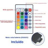 Tira De Luces LED RGB 5V Con Control Remoto Infrarrojo De 24 Teclas Y USB Para Cambio De Color Y Brillo SMD Adecuada Para Decoración De Fiestas - details 0