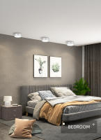 Lámpara De Techo LED Mini Pequeña 220V Luz Directa Montaje En Superficie Para Sala De Estar Dormitorio Color Negro - details 12