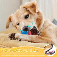 Juguetes Interactivos Para Perros 6Pcs Bolas Sonoras De TPR Masticables Resistentes Al Mordisco Para Limpieza De Dientes Y Entretenimiento - details 3