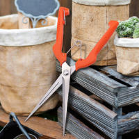Tijeras De Uva Profesionales Acero Inoxidable Herramienta De Jardín Para Podar Y Recolección Con Cerradura Para Vivero Y Bonsái - details 2