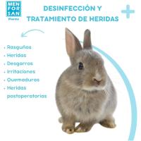 Menforsan Spray Antiseptico con Clorhexidina 60ml para perro gato conejo pajaros - Rasguños, cortes, quemaduras, irritaciones - Higiene y Desinfeccion Heridas - details 4