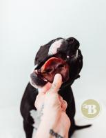 BIMORDISCOS Pet products - Morros de cerdo para perros | Snacks para Perros | Perros Todos Los Tamaños - details 0
