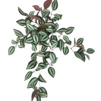 45cm Planta Artificial De Vínculo Hojas De Iva Falsas Scindapsus Aureus Rattan Para Decoración De Hogar Boda Jardín - details 14