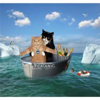 Rompecabezas De Papel 100 Piezas Catanic Animales Educativo Para Adultos Y Niños Juguetes De Descompresión Regalos Inteligentes - details 1