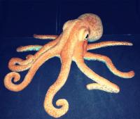 Muñeco De Peluche Realista De Vida Marítima Con Octopus Y Tortuga Juguete De Peluche Creativo Regalo De Navidad Para Niños Y Niñas - details 8