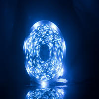 Tira De Luces LED RGB5050 Flexibles Con Control Bluetooth Infrarrojo Y Sync De Música Para TV Decoración De Navidad Regalo 5V - details 1