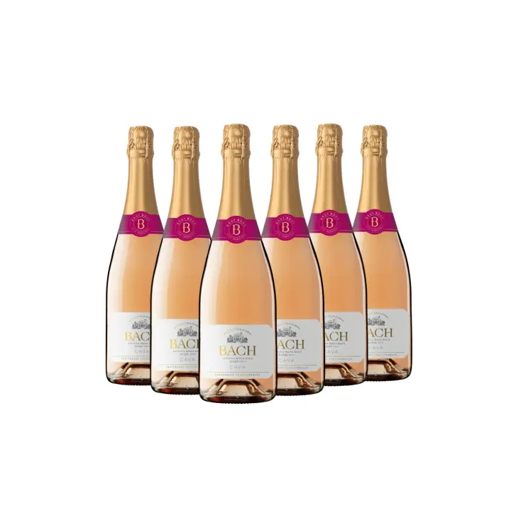 Bach Extrísimo Rosé - Cava Rosado Brut - Caja 6 botellas 75cl - 1