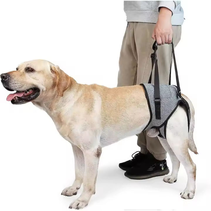 Large Dog Sling for Elderly Disabled Dogs, Dog Lift Harness Hind Leg Support, Dog Lifter for Arthritis ACL Rehabilitation Rehab - 1