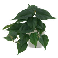 1pc Plantas Artificiales Pequeñas Con Macetas De Plástico Decoración De Escritorio Para Oficina Y Hogar Ambiente Interior Y Exterior - details 16