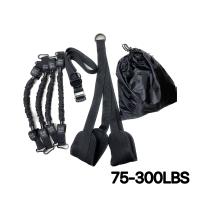 Banda De Aumento De Agarre Para Músculos De La Espalda Y Biceps 75-300 LBS Multifuncional Para Entrenamiento De Fuerza Y Fitness Herramienta De Alto Intensidad - details 5