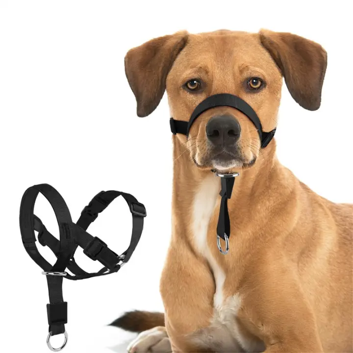 Collar Ajustable Antiladridos Para Perros Correa Líder Sin Tirar Halter Férreo Para Entrenamiento Confort Adecuado Para Todo El Año Accesorios Para Mascotas - 1