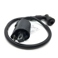 Bobina De Ignición Para Motocicleta 50cc 125cc 150cc 200cc D8TC CG ZJ Alta Presión Para ATV Cuatriciclo Bicicleta De Tierra - details 1
