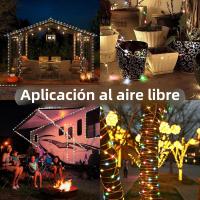 Cadena De Luces LED RGBIC Bluetooth Con Batería Operada Dreamcolor Smart Fairy Luz Para El Hogar Autónoma Y Decorativa - details 9