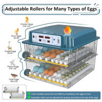 Incubadora de huevos 120, incubadora de huevos derecho para incubar pollitos, volteador automático de huevos con control de temperatura ,5 modos de incubación automáticos - details 5