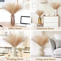 15pcs Arreglo De Pampas De Juncos Artificiales Para Decoración De Hogar Y Bodas Flores Silken Para Vaso Decoración De Dormitorio Y Fiesta DIY - details 4