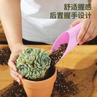 Juego De Herramientas Para Jardín Con Tazas De Suculentas Plásticas Cucharas Y Shovelitos Colores Micro Paisajes Plantas Verdes En Macetas - details 1