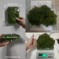 Moss Artificial De Jardín 20g/0.7oz Para Decoración Interior Y Exterior De Plantas Verdes Camuflaje De Mini Escenario De Jardín - details 13