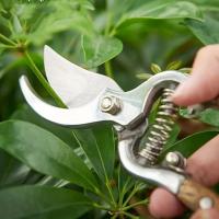 Tijeras De Podar De Madera 8.07 Pulgadas/20.5 Cm Herramienta De Jardín Para Recortar Rama De Fruta Tijeras De Codo - details 0