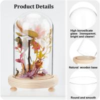 Jarrón De Vidrio Con Base Cloche De Cristal Para Exhibición De Plantas Flores Suculentas Y Almacenamiento Decoración Para Hogar Y Fiestas Navideñas - details 1