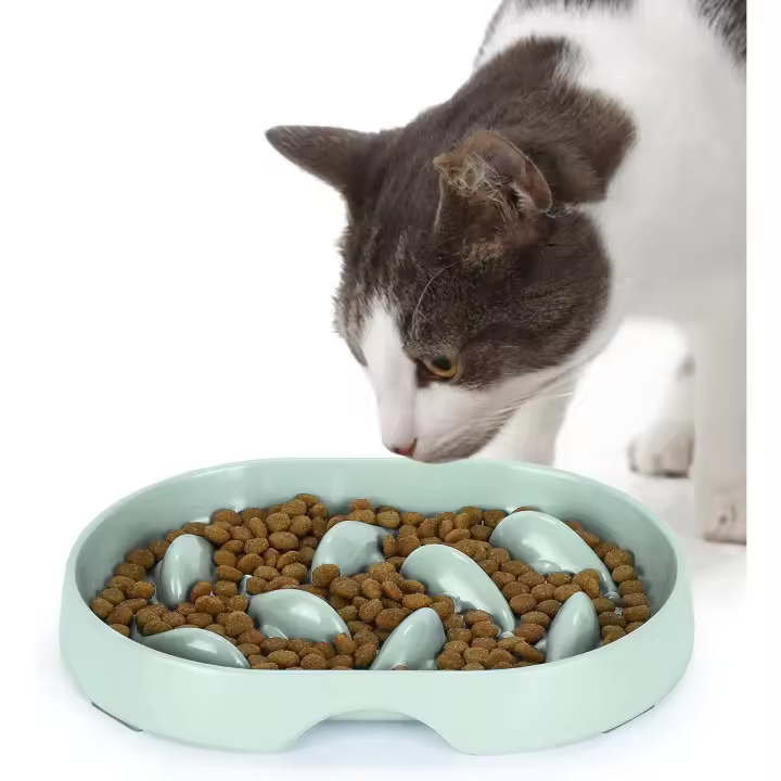 Comedero slow para Gatos, antivómitos, Con Borde Elevado y antidillames, para Comida húmeda y Seca, ideal para una Alimentación saludable (ovalado-Green) - 1