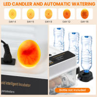 10/15/24/36 huevos Incubadora totalmente automática para, giro automático de los huevos, control de temperatura, adición automática de agua, incubadora para huevos de aves de corral con iluminación LED y doble alimentación - details 2