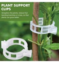Clip De Planta Reutilizable De Plástico Para Soporte De Tomates Y Enraizamiento De Hiedras En Jardín De Verduras Pack De 50/100/200 - details 2