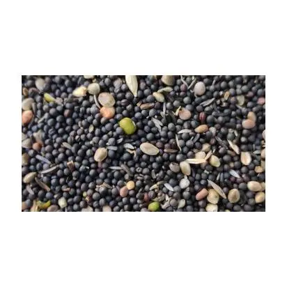 MIXTURA GERMINACION GRANEL (KG) - 1