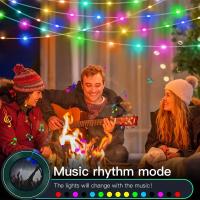 Cadena De Luces LED RGB WS2812B 20m 10m 5m DIY Inteligente IC APP Bluetooth Remote Para Jardín Fiesta Navidad Boda Decoración - details 10