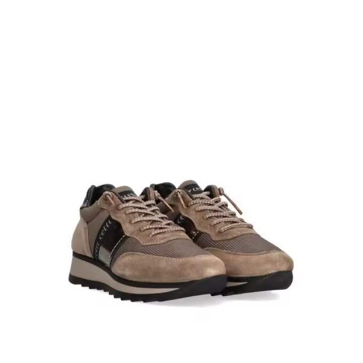 Deportivo CETTI c-849 taupe - 1