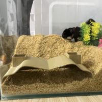 Cueva Subterránea Con Apariencia Natural Para Acuario Escondite Acuático Subyacente Túnel Decoración Para Peces Y Vida Acuática - details 5