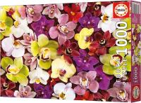 Educa - Puzzle de 1000 Piezas  Collage de orquídeas. Incluye Pegamento Fix Puzzle. + 14 años Educa 19558 - details 3
