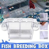 Acuario Multifuncional Para Peces Caja De Cría Y Aislamiento De Acrílico Transparente Tanque De Peces Para Guppys Incubador De Hatching - details 2